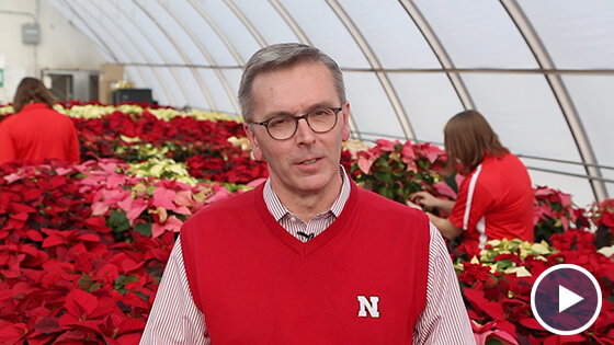 N|150 Holiday Greetings featuring Chancellor Green